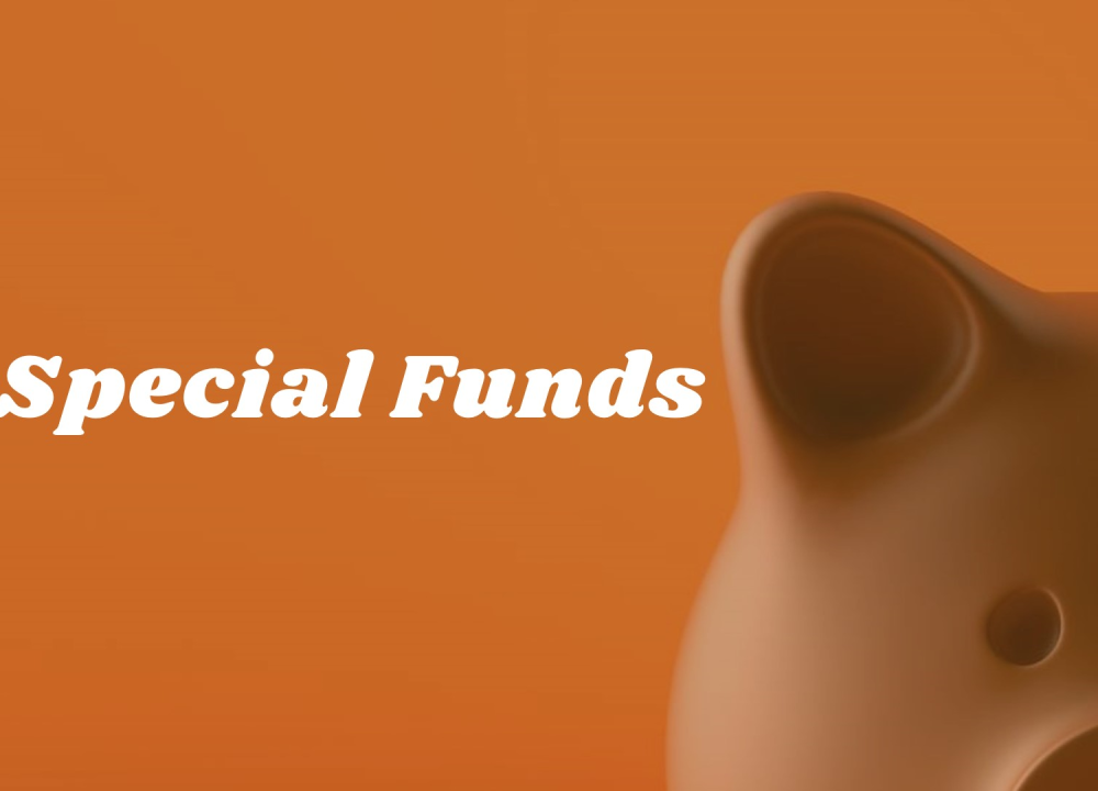 Special funds in Kenya