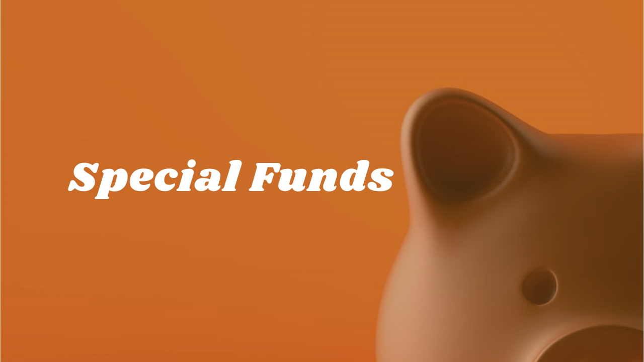 Special funds in Kenya